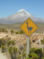Altiplano towards and around the Bolivia Chile border